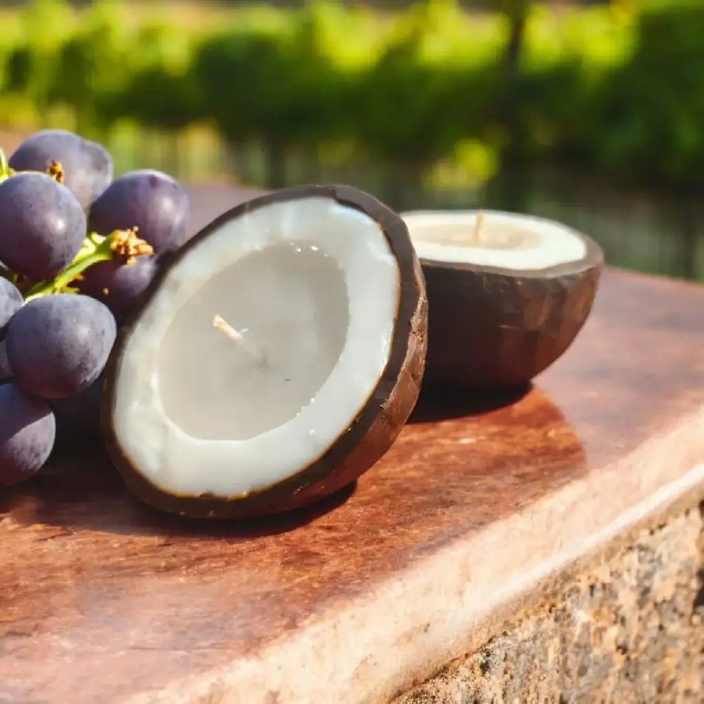 Coconut bowl candle combo